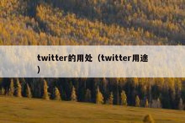 twitter的用处（twitter用途） 第1张