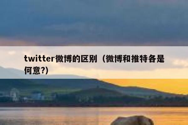 twitter微博的区别（微博和推特各是何意?） 第1张