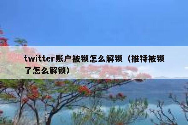 twitter账户被锁怎么解锁（推特被锁了怎么解锁） 第1张