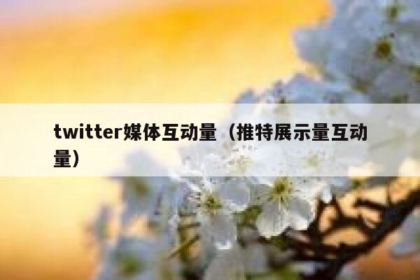 twitter媒体互动量（推特展示量互动量） 第1张