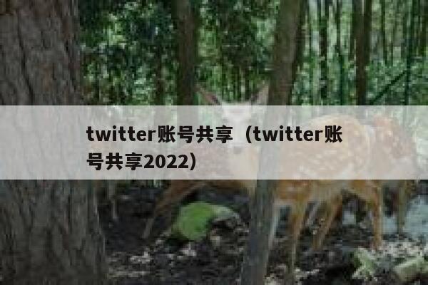 twitter账号共享（twitter账号共享2022） 第1张