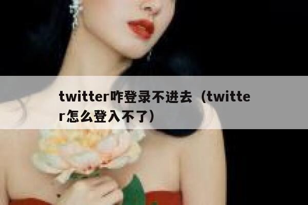 twitter咋登录不进去（twitter怎么登入不了） 第1张