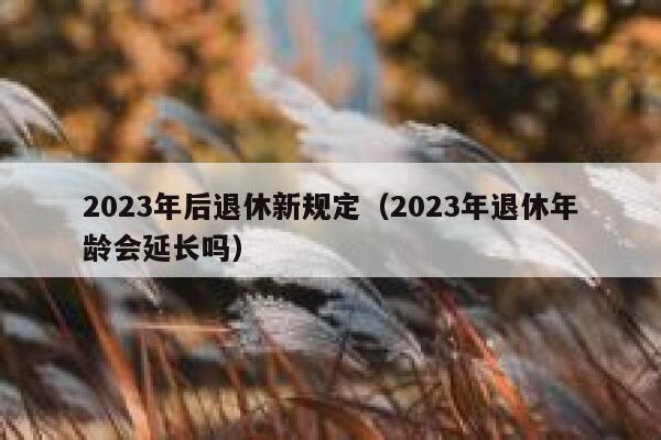 2023年后退休新规定（2023年退休年龄会延长吗） 第1张