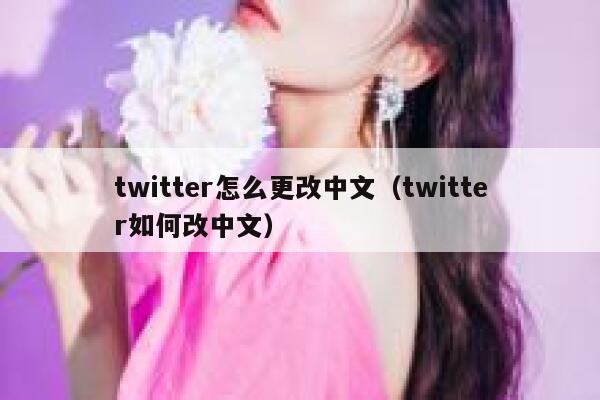 twitter怎么更改中文（twitter如何改中文） 第1张