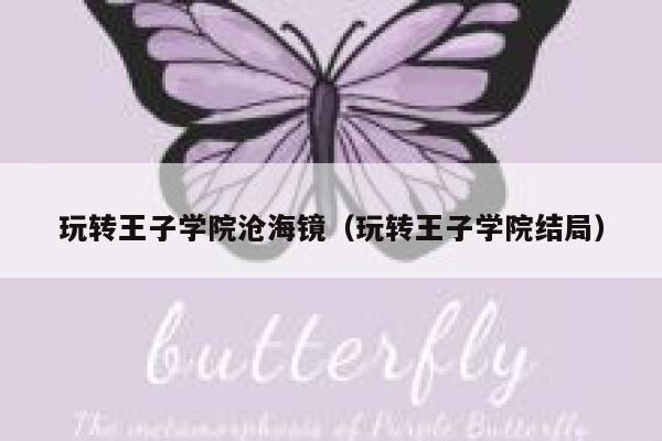 玩转王子学院沧海镜（玩转王子学院结局） 第1张