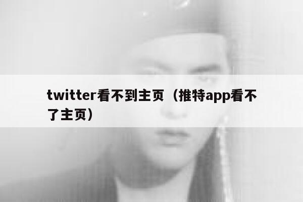 twitter看不到主页（推特app看不了主页） 第1张
