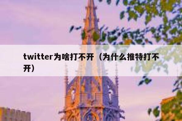 twitter为啥打不开（为什么推特打不开） 第1张