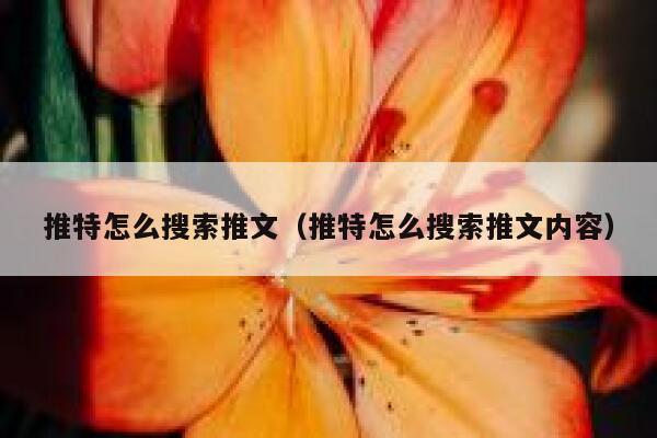 推特怎么搜索推文（推特怎么搜索推文内容） 第1张