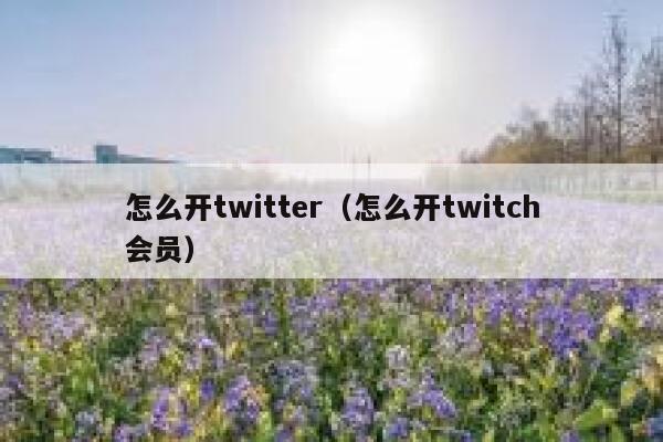 怎么开twitter（怎么开twitch会员） 第1张
