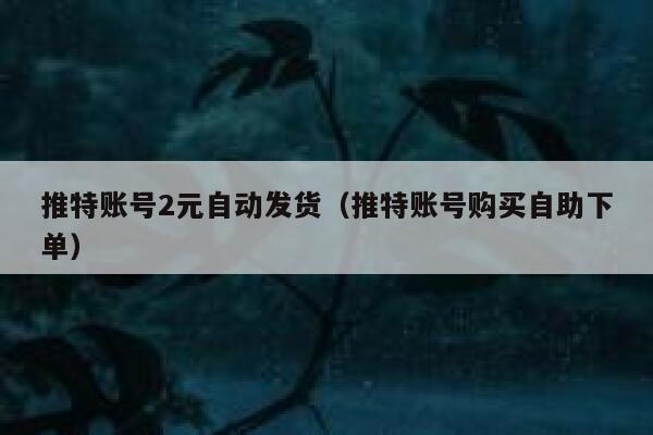 推特账号2元自动发货（推特账号购买自助下单） 第1张