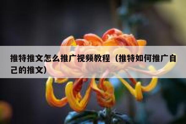 推特推文怎么推广视频教程（推特如何推广自己的推文） 第1张