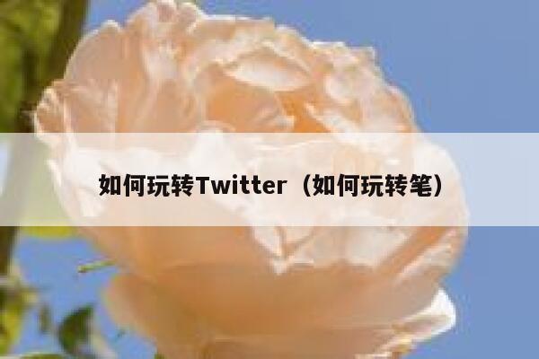 如何玩转Twitter（如何玩转笔） 第1张