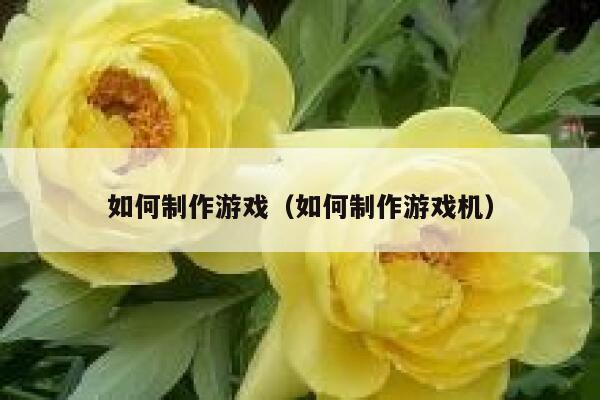 如何制作游戏（如何制作游戏机） 第1张