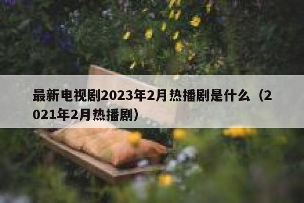 最新电视剧2023年2月热播剧是什么（2021年2月热播剧） 第1张