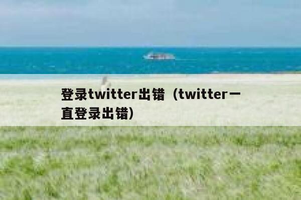 登录twitter出错（twitter一直登录出错） 第1张