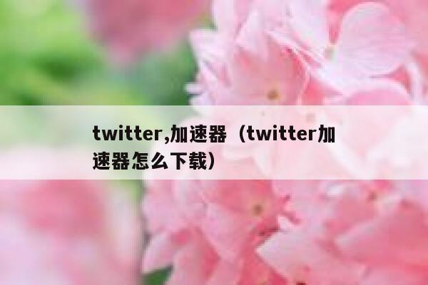 twitter,加速器（twitter加速器怎么下载） 第1张