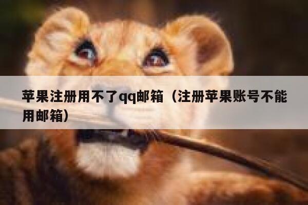 苹果注册用不了qq邮箱(注册苹果账号不能用邮箱) 第1张 苹果注册用不了qq邮箱(注册苹果账号不能用邮箱) 第1张
