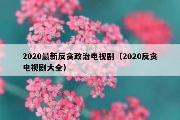 2020最新反贪政治电视剧（2020反贪电视剧大全） 第1张