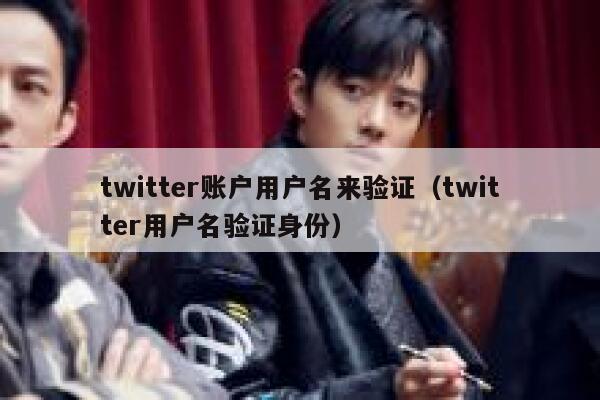 twitter账户用户名来验证（twitter用户名验证身份） 第1张