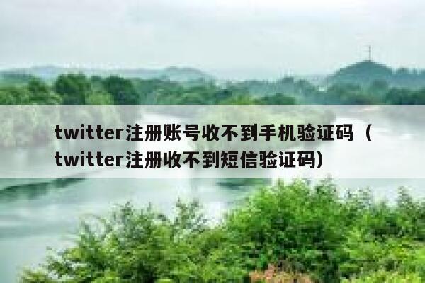 twitter注册账号收不到手机验证码（twitter注册收不到短信验证码） 第1张