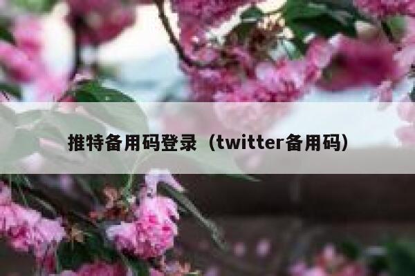推特备用码登录（twitter备用码） 第1张