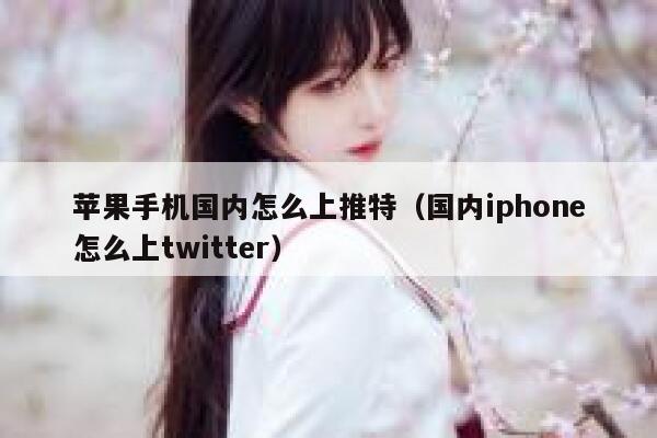 苹果手机国内怎么上推特（国内iphone怎么上twitter） 第1张