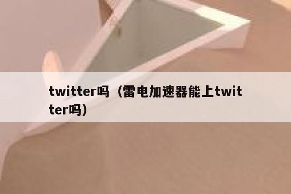 twitter吗（雷电加速器能上twitter吗） 第1张