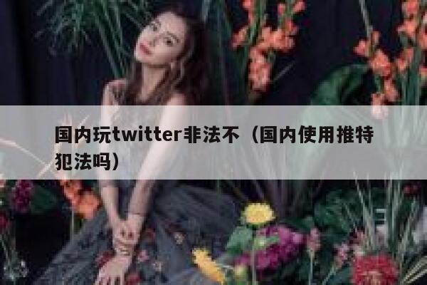 国内玩twitter非法不（国内使用推特犯法吗） 第1张