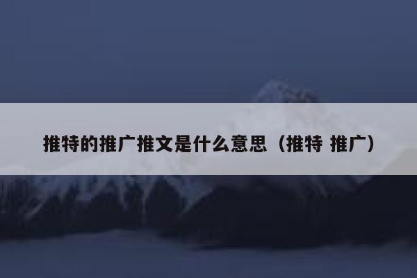 推特的推广推文是什么意思（推特 推广） 第1张