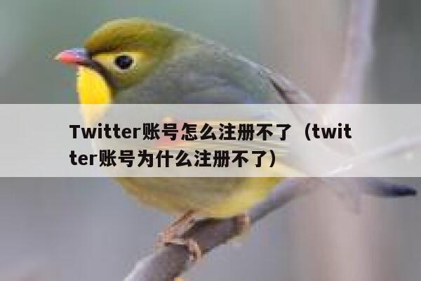 Twitter账号怎么注册不了（twitter账号为什么注册不了） 第1张