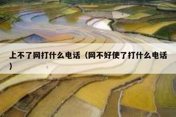上不了网打什么电话（网不好使了打什么电话） 第1张