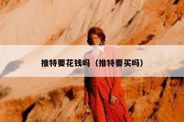 推特要花钱吗（推特要买吗） 第1张