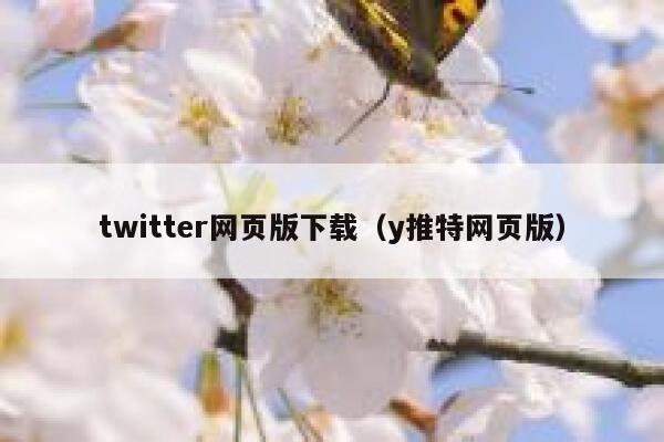 twitter网页版下载（y推特网页版） 第1张
