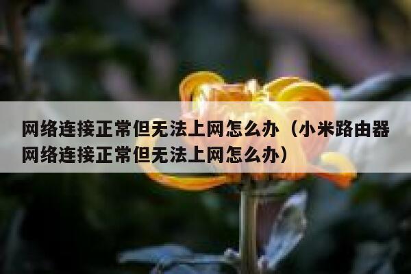 网络连接正常但无法上网怎么办（小米路由器网络连接正常但无法上网怎么办） 第1张