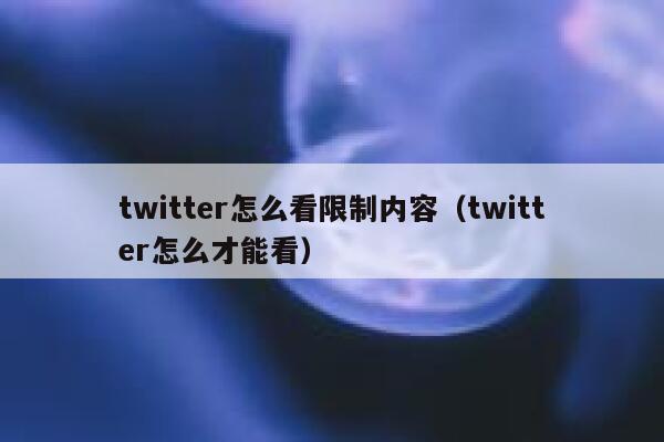 twitter怎么看限制内容（twitter怎么才能看） 第1张