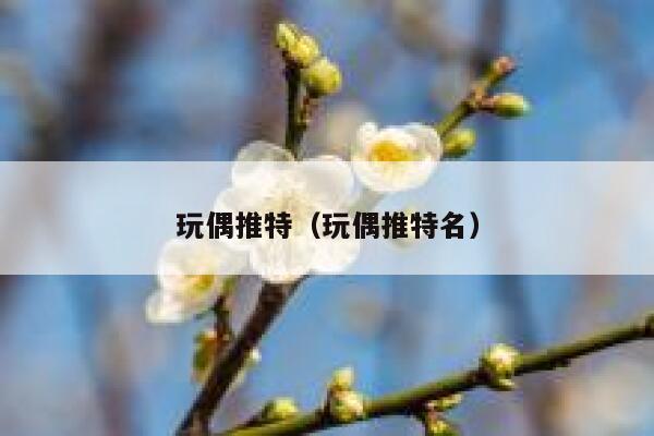 玩偶推特（玩偶推特名） 第1张