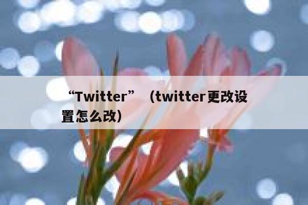 “Twitter”（twitter更改设置怎么改） 第1张