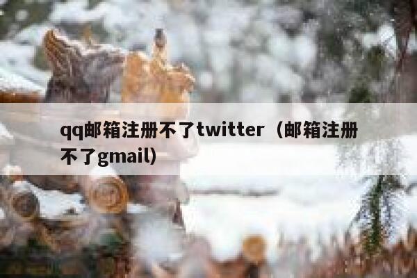 qq邮箱注册不了twitter（邮箱注册不了gmail） 第1张