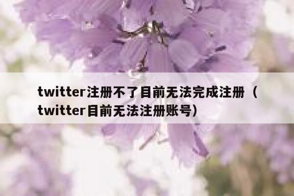 twitter注册不了目前无法完成注册（twitter目前无法注册账号） 第1张