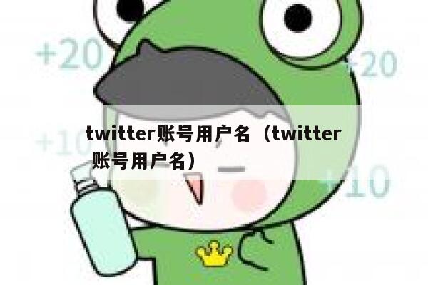 twitter账号用户名（twitter 账号用户名） 第1张