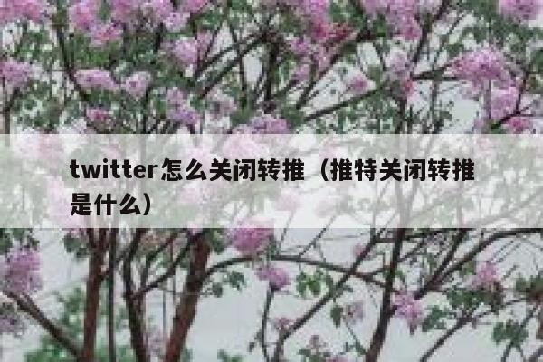 twitter怎么关闭转推（推特关闭转推是什么） 第1张