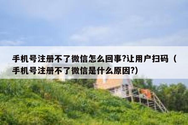 手机号注册不了微信怎么回事?让用户扫码（手机号注册不了微信是什么原因?） 第1张