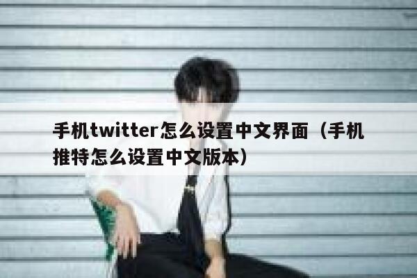 手机twitter怎么设置中文界面（手机推特怎么设置中文版本） 第1张