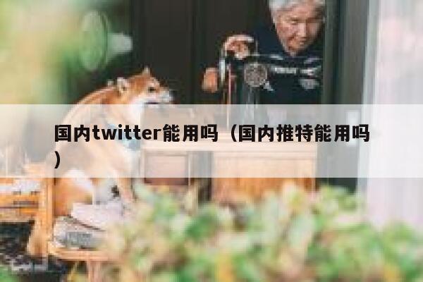 国内twitter能用吗（国内推特能用吗） 第1张