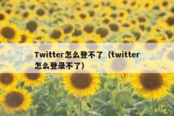 Twitter怎么登不了（twitter怎么登录不了） 第1张