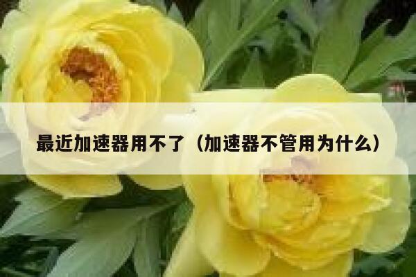 最近加速器用不了（加速器不管用为什么） 第1张