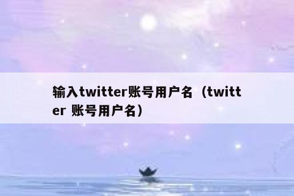 输入twitter账号用户名（twitter 账号用户名） 第1张