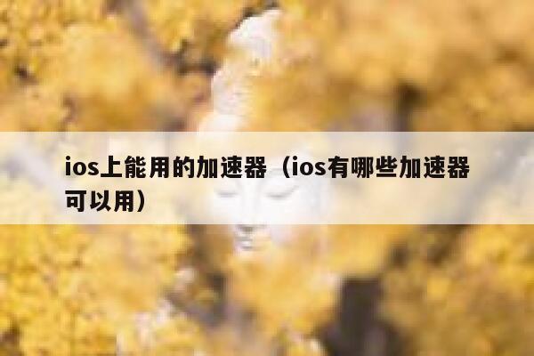 ios上能用的加速器（ios有哪些加速器可以用） 第1张