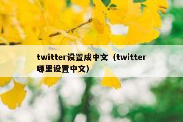 twitter设置成中文（twitter哪里设置中文） 第1张