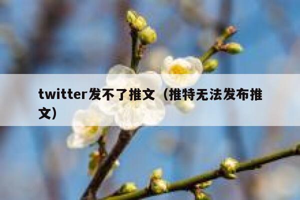 twitter发不了推文（推特无法发布推文） 第1张
